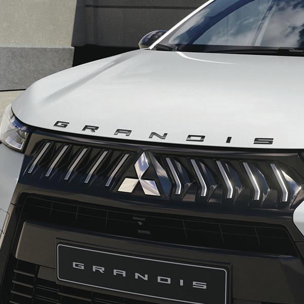 Grandis motorkapembleemletters zwart