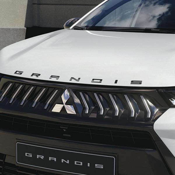 Grandis motorkapembleemletters zwart